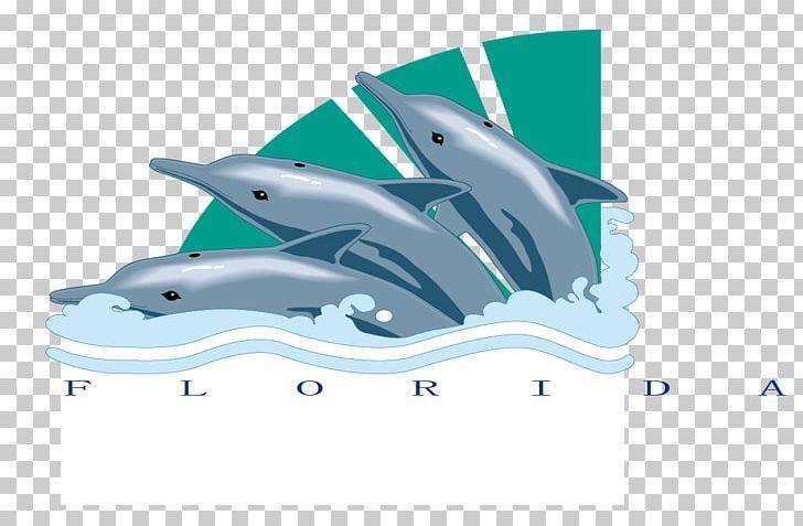 Bottlenose Logo - Common Bottlenose Dolphin PNG, Clipart, Animals, Computer Wallpaper ...