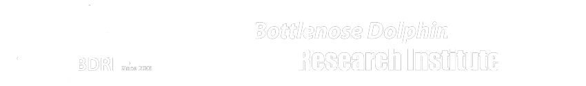 Bottlenose Logo - Bottlenose Dolphin Research Institute BDRI