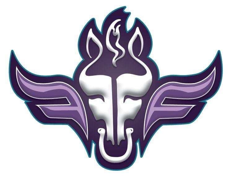 Fillies Logo - Teri Payton: WFA's Portland Fighting Fillies - New Logo for 2013