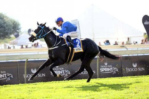 Fillies Logo - CHAMPION SOUTH AFRICAN 2YO FILLY BY MORE THAN READY – VINERY STUD