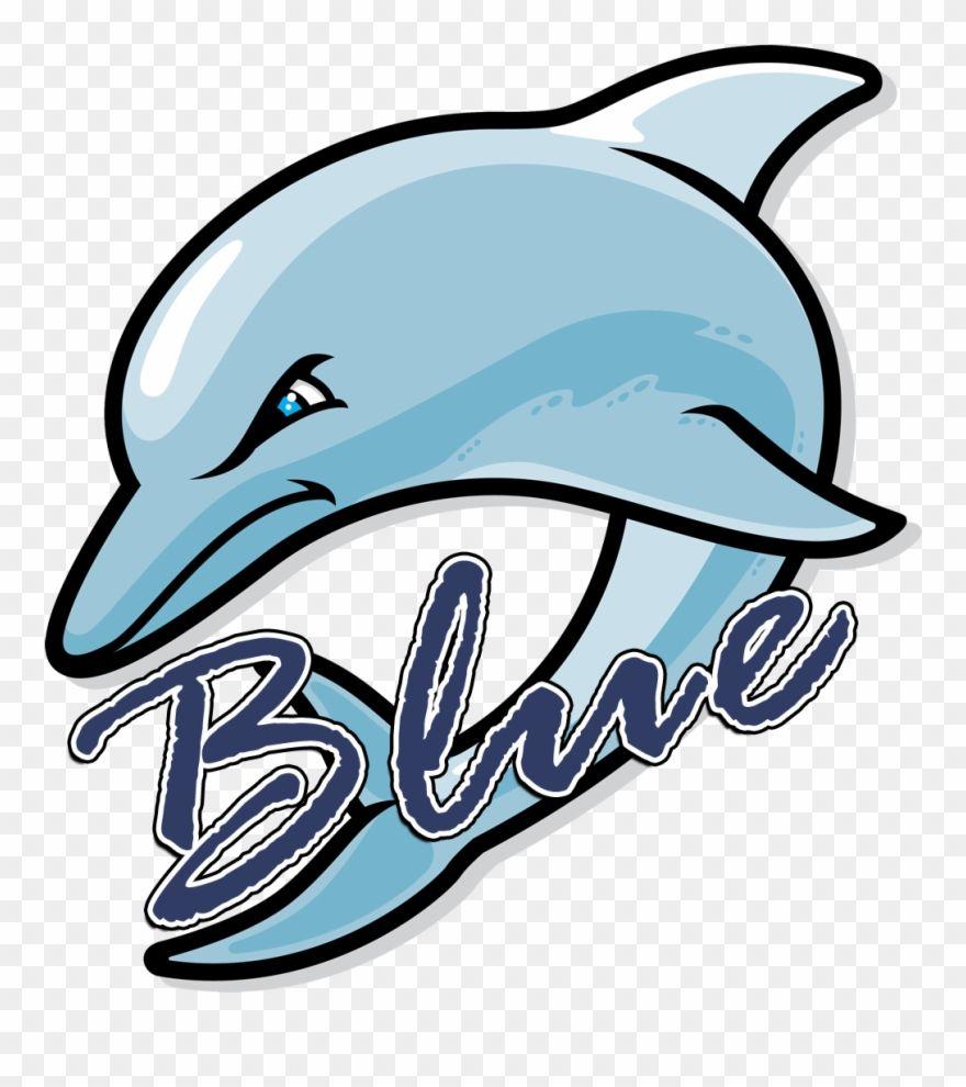 Bottlenose Logo - Blue Dolphins Logo - Cartoon Dolphin Clipart (#616728) - PinClipart