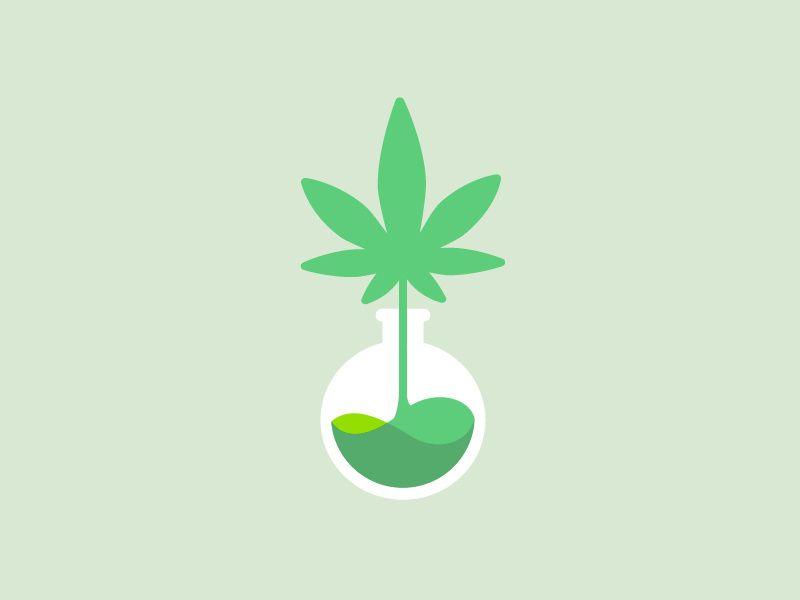 Cannibis Logo - Cannabis Oil Tincture Extract Logo by Jana Novak on Dribbble
