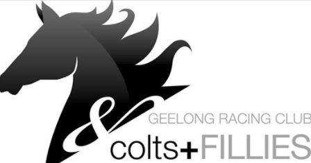 Fillies Logo - colts + Fillies logo - Bellarine Times