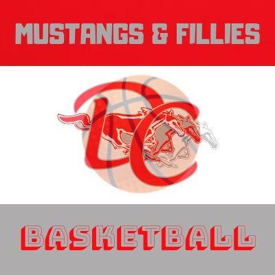 Fillies Logo - MUSTANGS & FILLIES BBALL LOGO-2 - TownTalk Radio