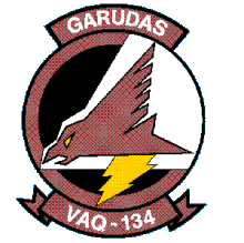 VAQ-134 Logo - A-3 Skywarrior Association - A-3 Skywarrior Assn. - A-3 SQUADRON HISTORY