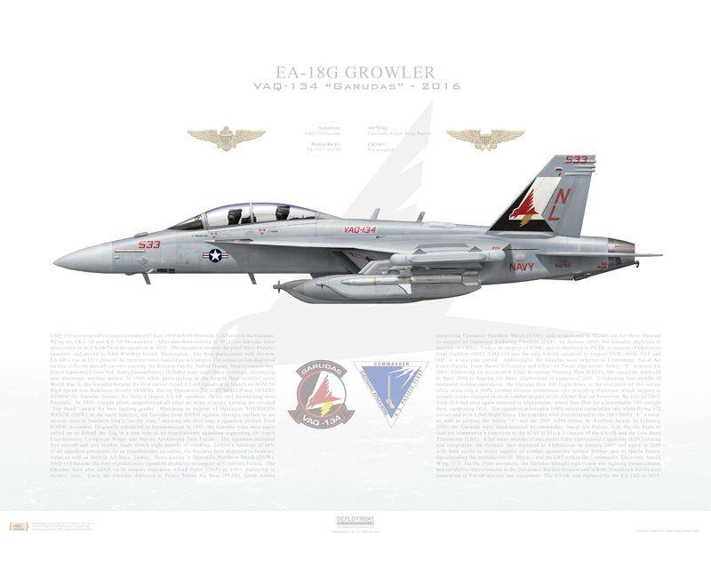 VAQ-134 Logo - Aircraft Profile Print Of EA 18G Growler VAQ 134 Garudas, NL533