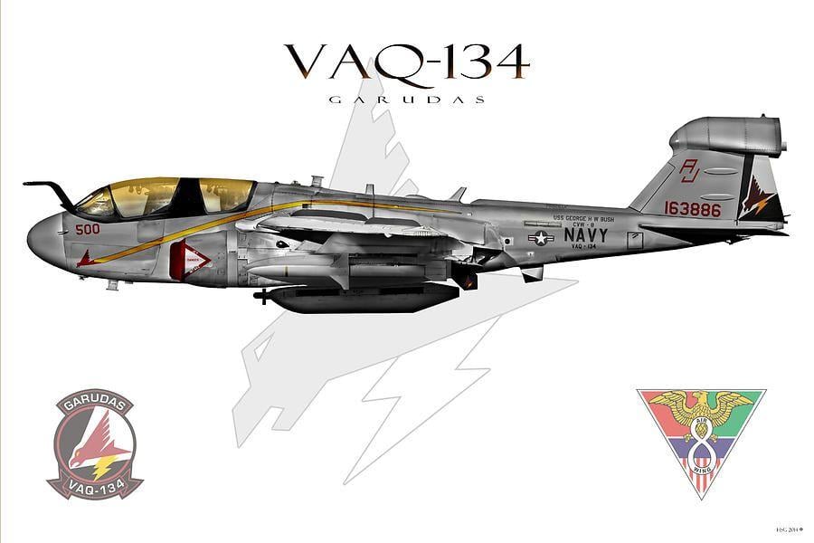 VAQ-134 Logo - Vaq 134 Prowler Sundown 2014 By Clay Greunke