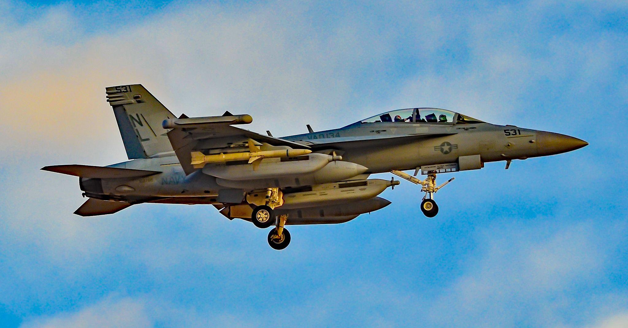 VAQ-134 Logo - Boeing EA 18G Growler C N G 81 Electronic Attack