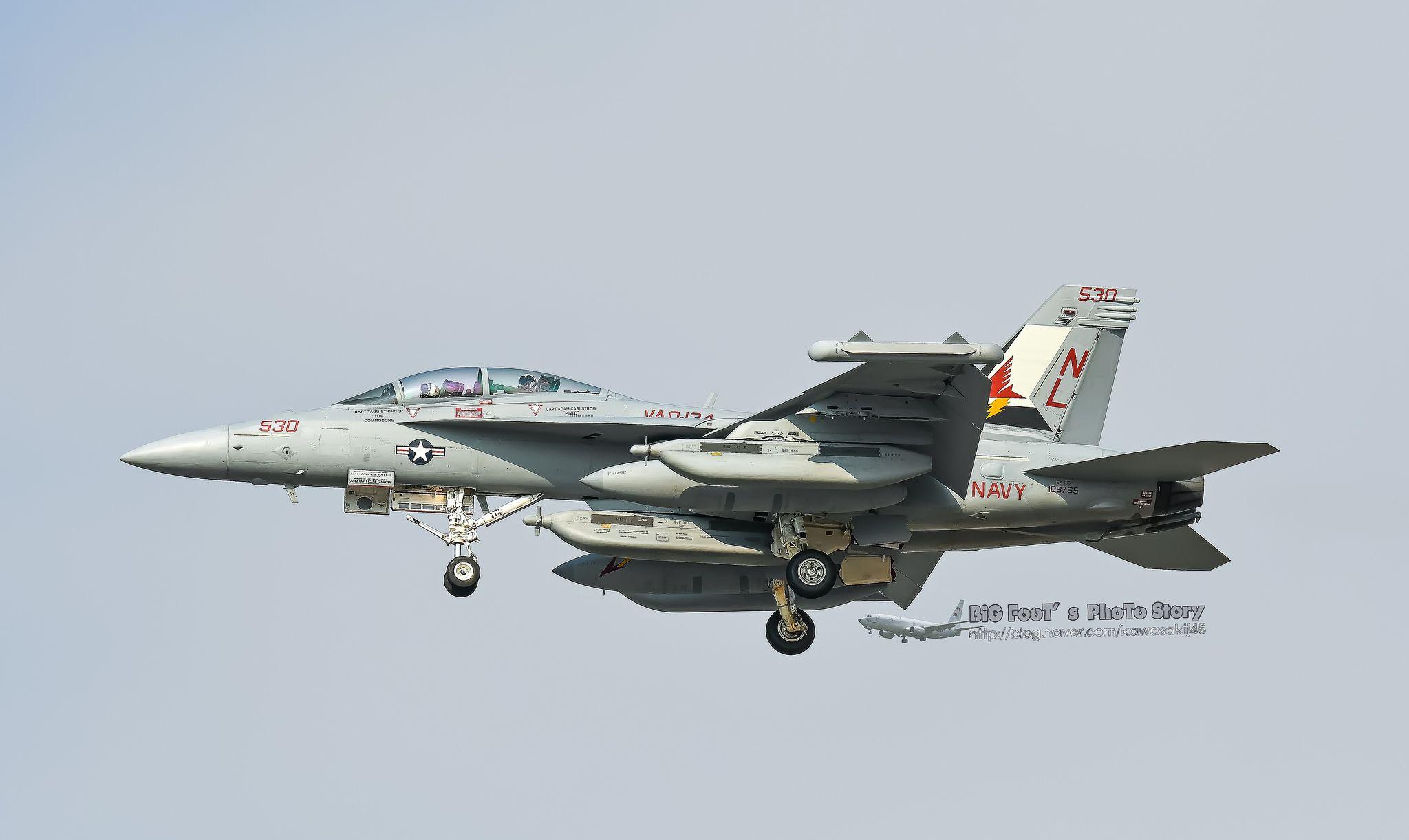 VAQ-134 Logo - USNAVY VAQ 134 Garudas E A 18G Growler(530)(168765). Growler