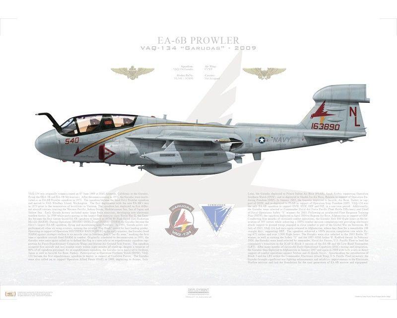 VAQ-134 Logo - Aircraft Profile Print Of EA 6B Prowler VAQ 134 Garudas, NL540