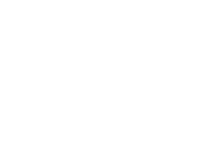 Sema Logo - SEMA YOUNG GUNS