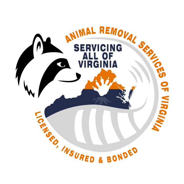 Muskrat Logo - Muskrat Trapping Removal. Animal Removal Services Of Virginia. A+++