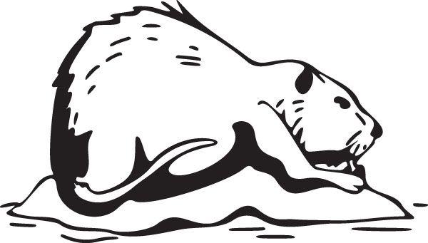 Muskrat Logo - Muskrat Small Mammal Animal Clipart Image
