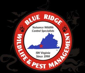Muskrat Logo - Blue Ridge Wildlife & Pest Management, LLC, VA