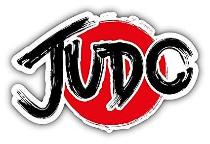Judo Logo - Judo Logo Vinyl Decal Bumper Sticker 5'' X 3'': Posters