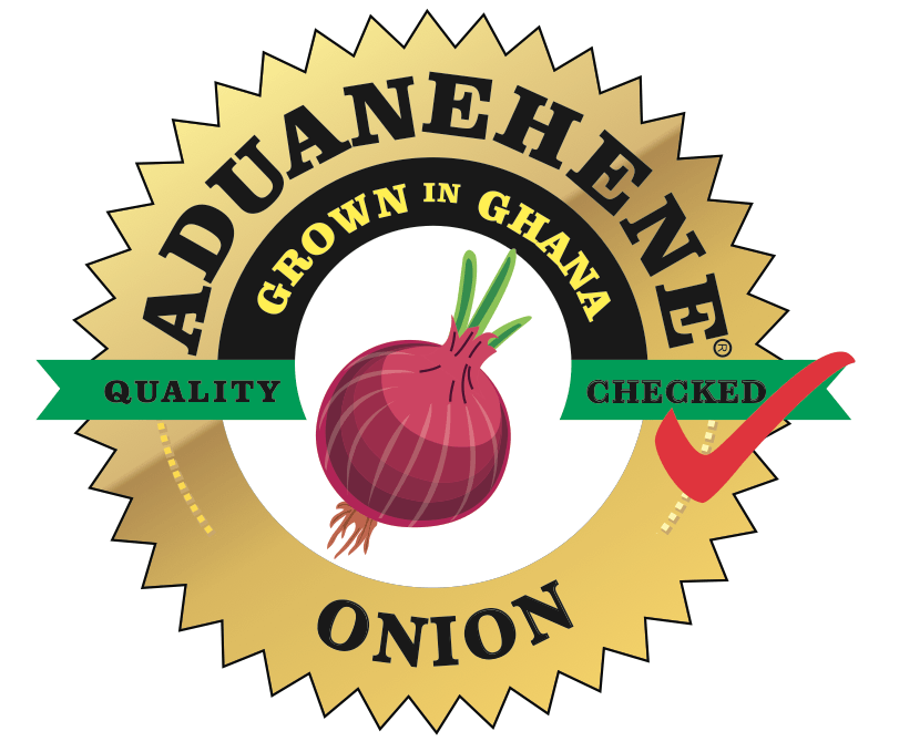 Onion Logo - ONION LOGO – Aduanehene