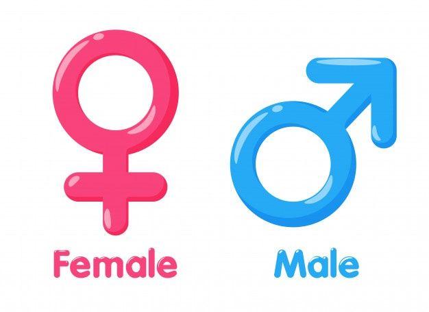 Gender Logo - Gender Symbol Vectors, Photos and PSD files | Free Download