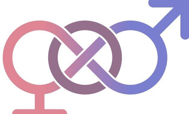 Gender Logo - Males are allies in changing harmful social norms - Egypt Today