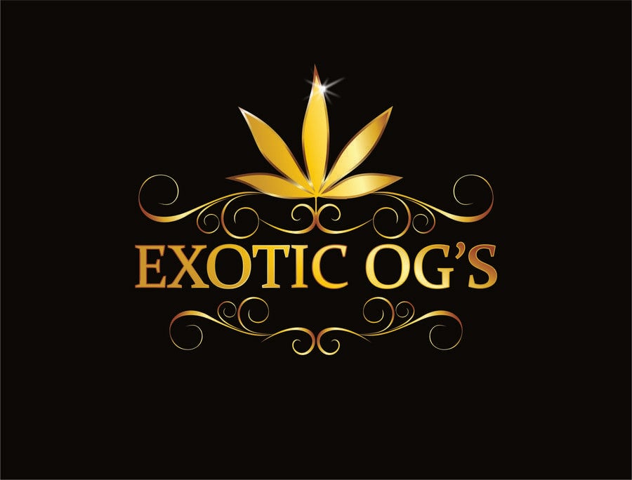 Exotic Logo - Exotic Logos