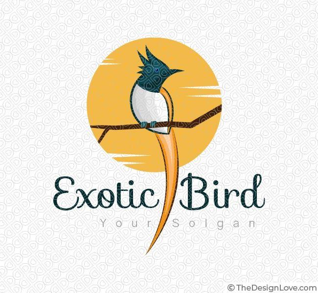 Exotic Logo - Exotic Bird Logo & Business Card Template
