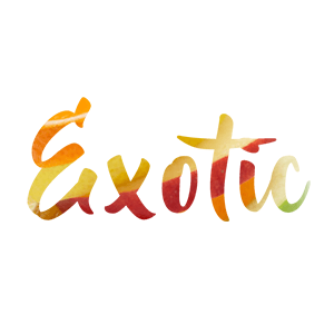 Exotic Logo - EKADA Corporation