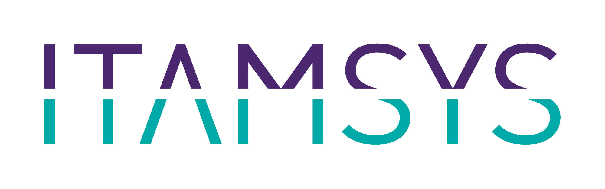 ITSM Logo - ITAMSYS : intégrateur ITSM à Lyon - Partenaire EasyVista et Nexthink