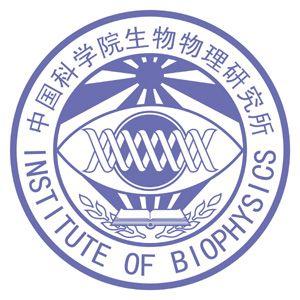 IBP Logo - The IBP Logo-Institute of Biophysics Chinese Academy of Sciences