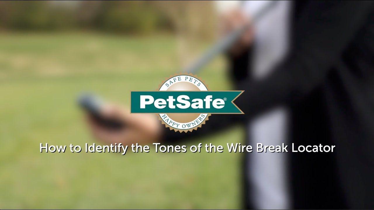 PetSafe Logo - PetSafe— How to Identify the Tones of the Wire Break Locator