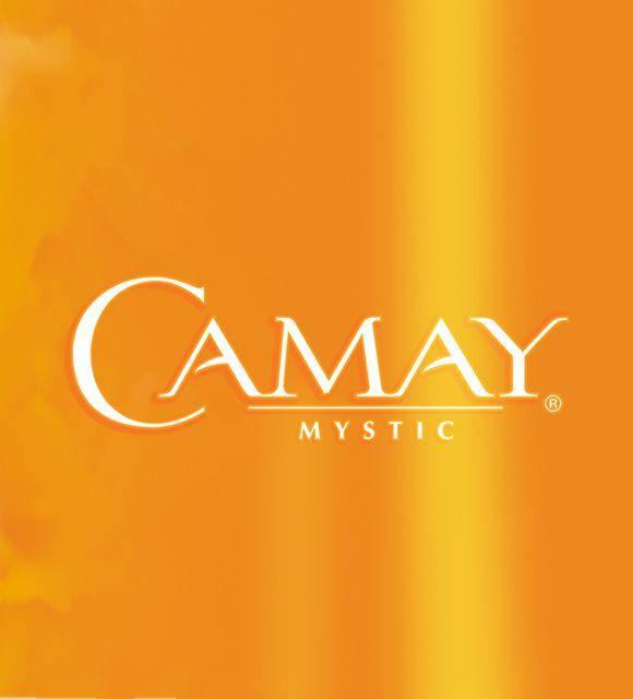 Camay Logo - P&G | Camay | Girvin | Strategic Branding & Design