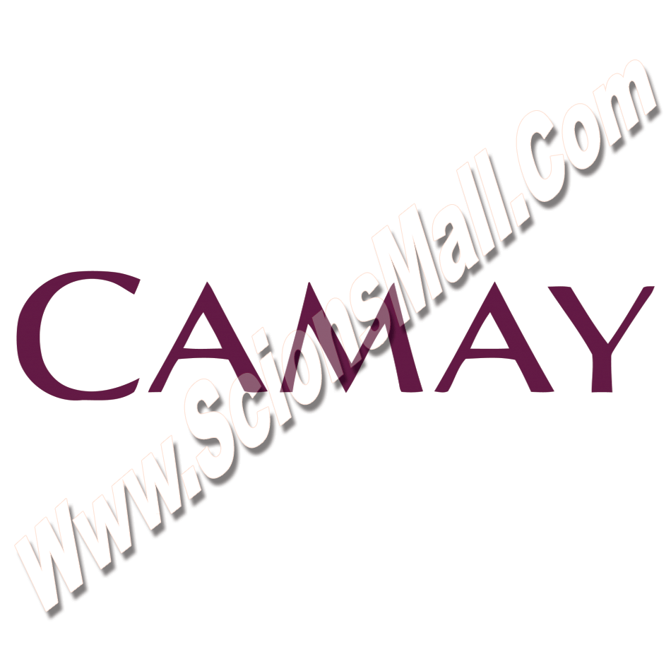 Camay Logo - Groceries | General Items | Camay Soap | Soaps Beauty | Camay Soap ...