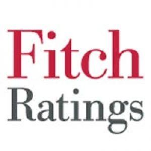 Fitch Logo - Fitch: Slovenia Political Risk Reduced, Challenges Remain