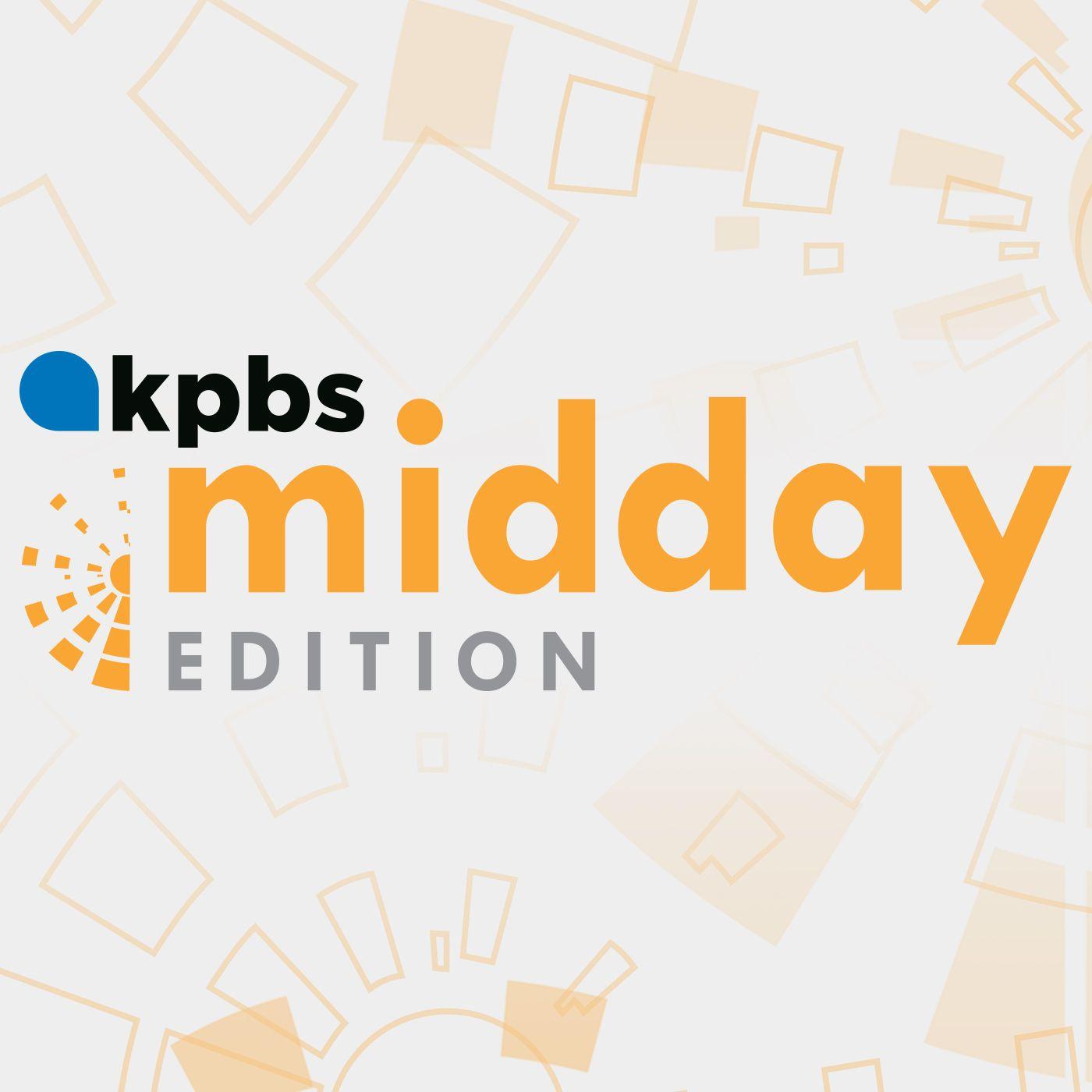 SANDAG Logo - SANDAG's New Independent Auditor Digs Into Agency's Risks | KPBS