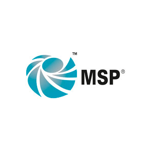 MSP Logo - Why Businesses Should Use MSP Programme Management