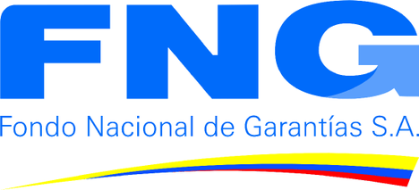 FNG Logo - National Guarantees Fund