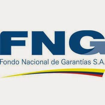 FNG Logo - Fondo Nacional de Garantías - Garantizamos el acceso al crédito