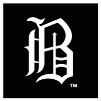 Barons Logo - Birmingham Barons. Brands of the World™. Download vector logos