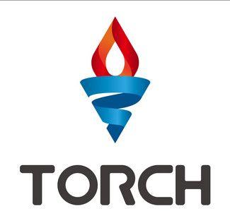 Torch Logo - 30 Illuminating Torch Logo for Your Inspiration | Business | Logos ...