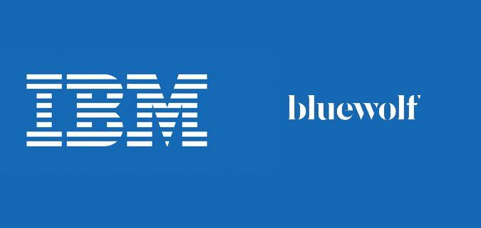 Bluewolf Logo - One-size-fits-all marketing solution needed, says State of ...