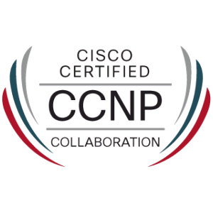 CCNP Logo - Houston, Dallas IT Certification Accelerated Training Center