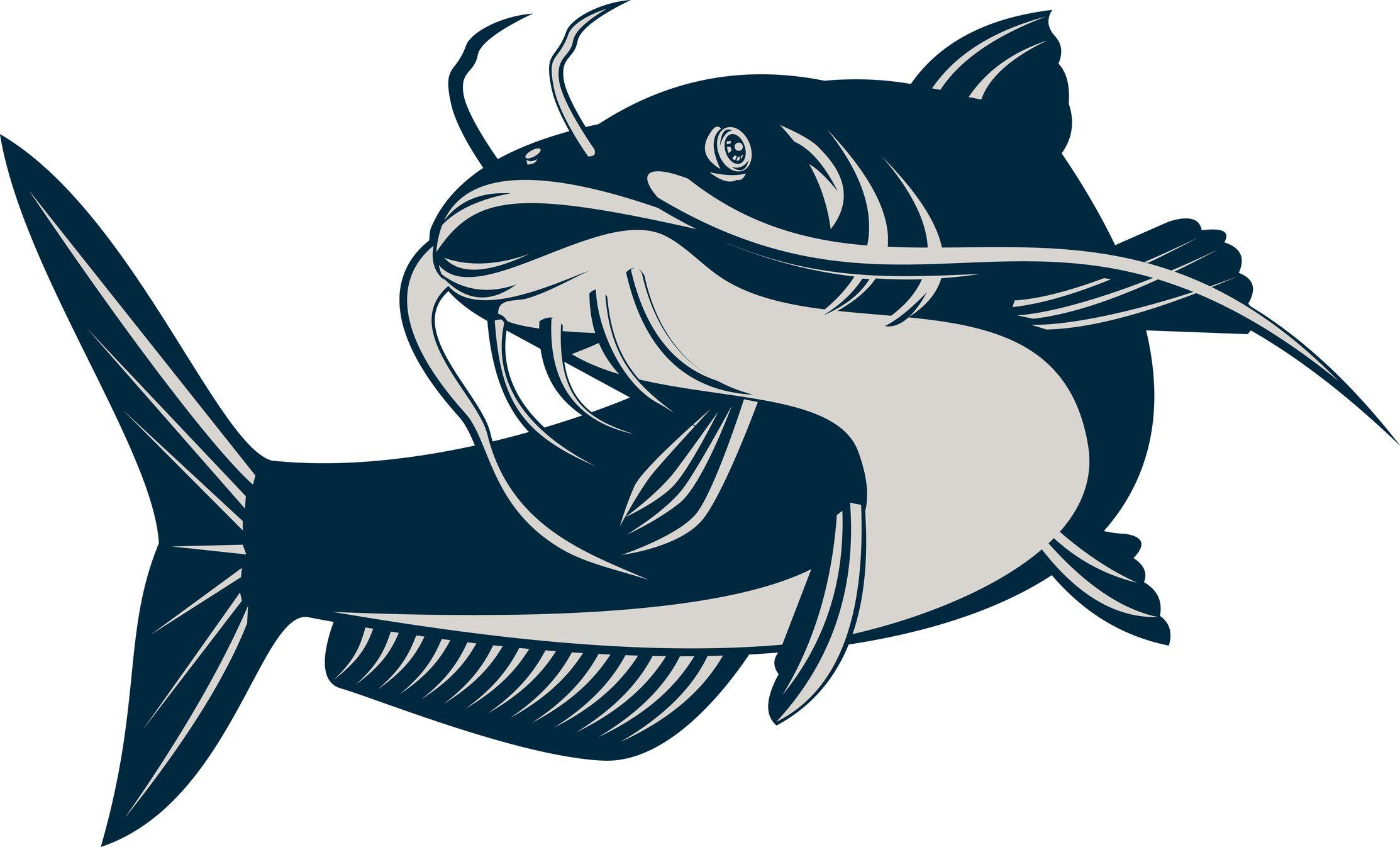 Catfish Logo - Catfish Logos
