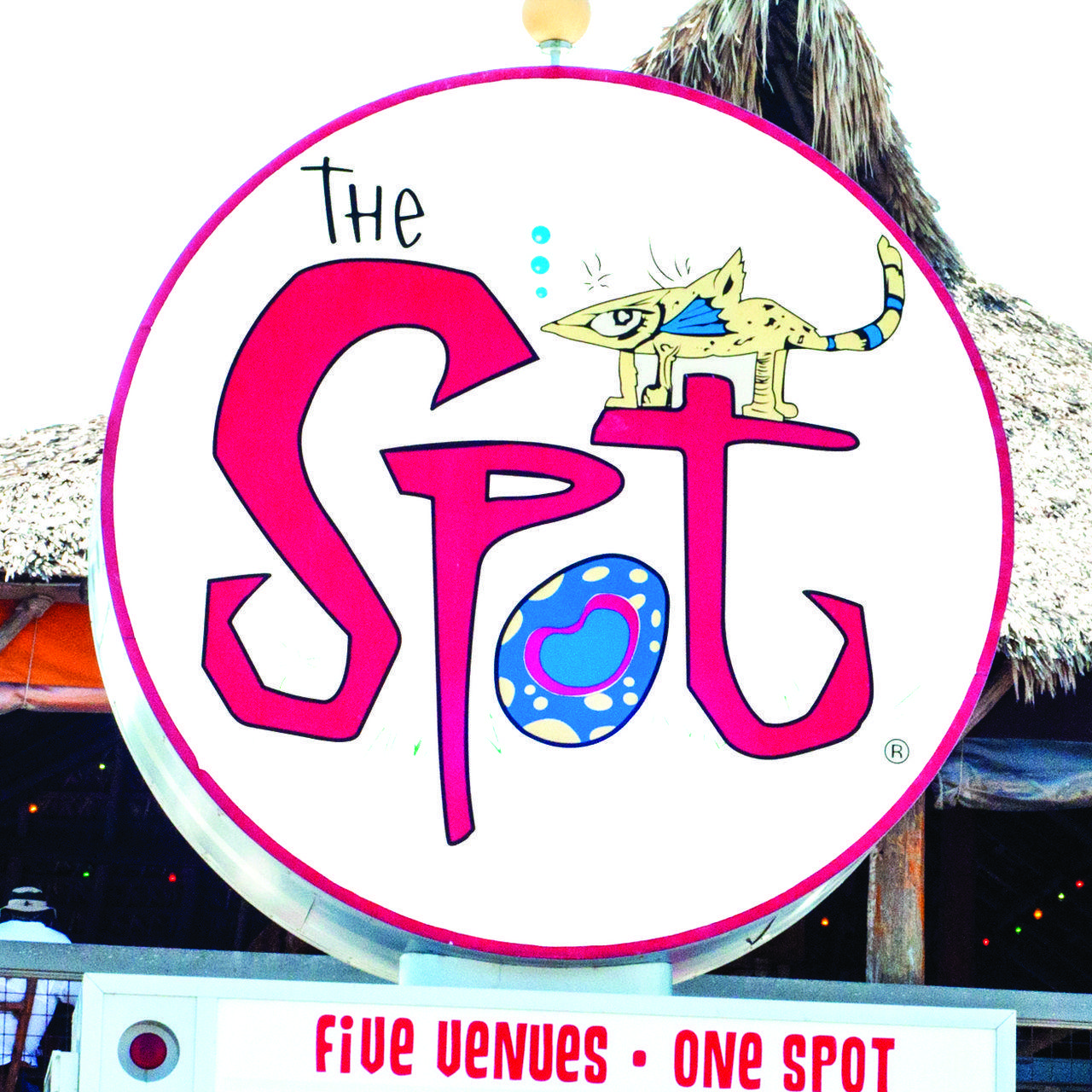 Thespot Logo - The Spot // HTX129