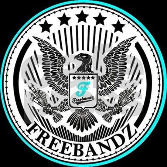 Freebandz Logo - Freebandz Necklace