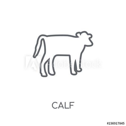 Calf Logo - Calf linear icon. Modern outline Calf logo concept on white