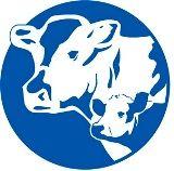 Calf Logo - New RCALF Logo 2c, Calf Only CALF USA