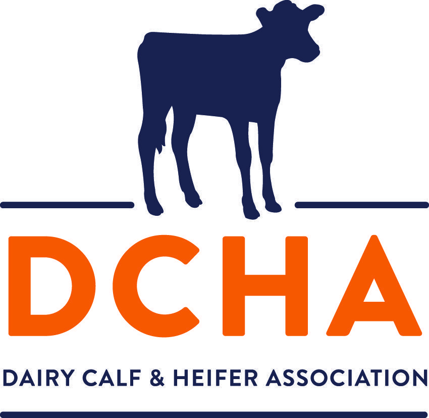 Calf Logo - DCHA Webinar to Explore Growth Promotion in Dairy Calves. Dairy