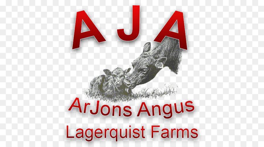 Calf Logo - Angus Cattle Calf Logo Text