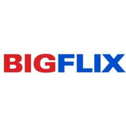 BIGFlix Logo - Bigflix Stores, Secunderabad Websites For Music