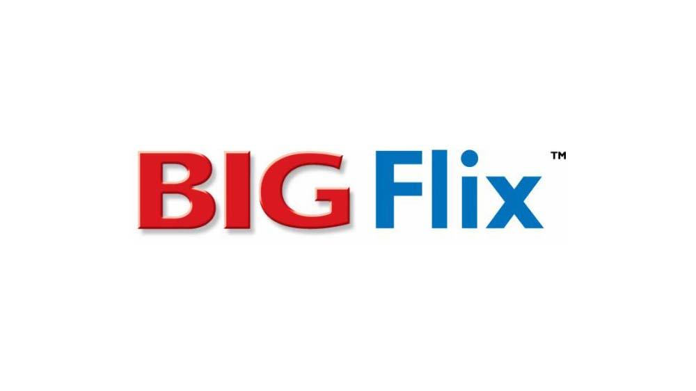 BIGFlix Logo - BIGFlix Movie Rentals plans expansion via franchising