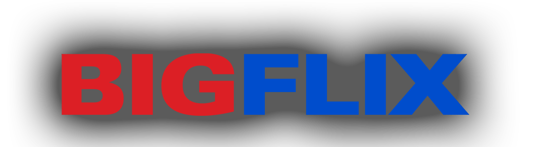 BIGFlix Logo - BIGFLIX - Watch Movies Online | Hindi Movies | Tamil Movies | Telugu ...