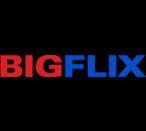 BIGFlix Logo - Bigflix – Reliance Entertainment